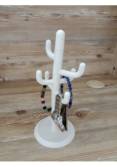 Kaktüs Takı Standııı
