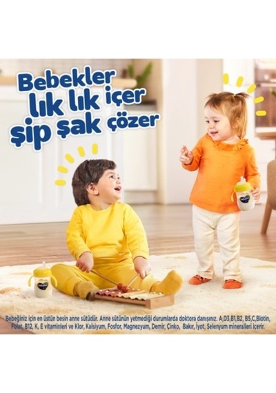 Bebekler İçin Devam Sütü, 1 Yaş Ve Üzeri, 800 Gr