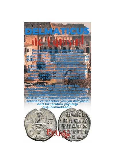 Petjoo 28.Delmaticus Kırmızı-Mavi Qr'lı Köpek Künyesi