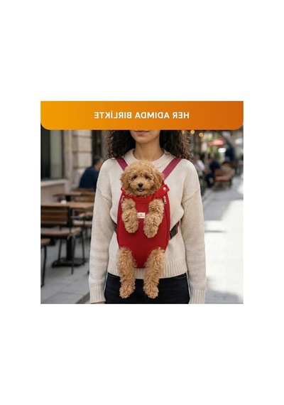 3.1 Phillip Lim Kedi Ve Küçük Irk Köpek Taşıma Çantası, Rahat Kullanım 0233 Orangeblue Cat