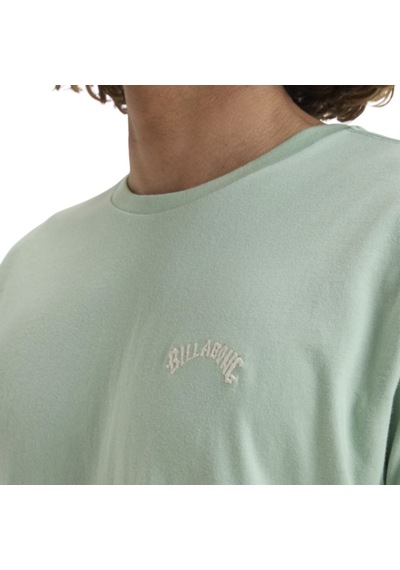 Bıllabong Billabong Arch Crew Erkek Tişört 1208 Çok Renkli