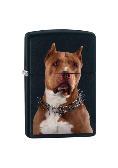 Zippo Çakmak Pit Bull with Collar - Black Matte 79845