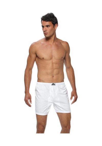 Gümüş Erkek Arjantin Boxer 3007 - 6 Adet