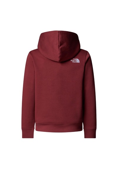 The North Face Teen Drew Peak Pullover Hoodıe Genç Çocuk Sweatshirt Nf0a8ehh0vo1 Çok Renkli