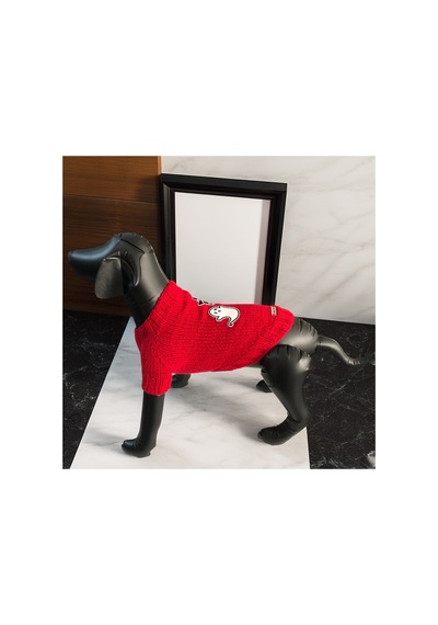 Kedi Ve Köpek İçin Kırmızı Cadılar Bayramı Kazağı
