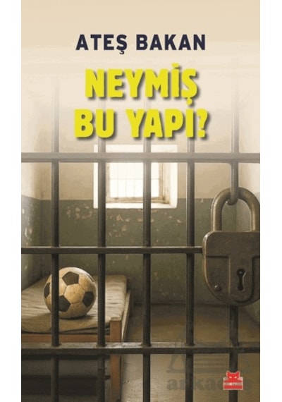 Neymiş Bu Yapı Ciltli Kırmızı Kedi Yayınevi