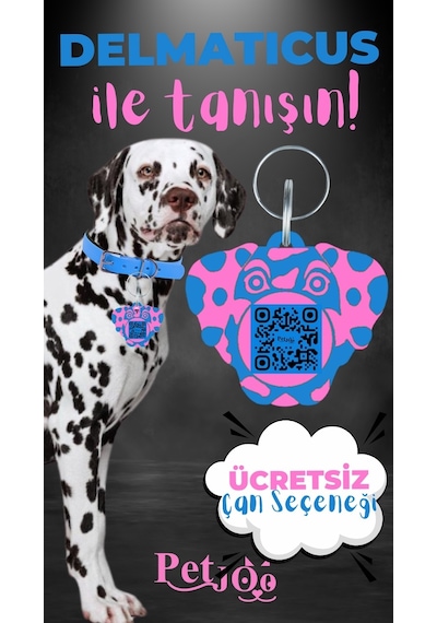 Petjoo 28.Delmaticus Pembe-Mavi Qr'lı Köpek Künyesi