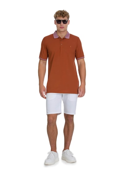 Hatemoğlu Kiremit Regular Fit 100% Pamuklu Polo Yaka Tişört 1999780 Tarçın-01