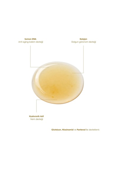 Lexroo Yaşlanma Karşıtı Yüz Serumu 50ml Somon Dna & Kolajen