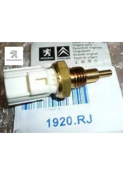 Hararet Müşürü Peugeot 1920.rj