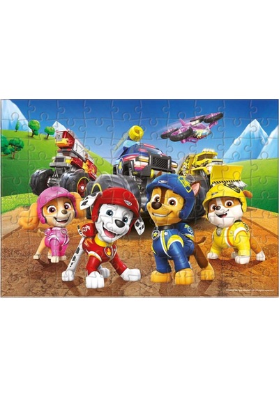 100 Parça Puzzle