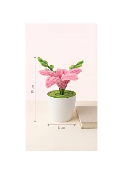 Şönil Pembe Lilyum Mini Saksı Minimal Saksı