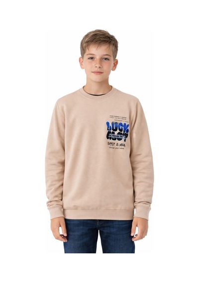Baglan Erkek Çocuk Önü Arkası Baskılı Sweatshirt Bgl-st05237 Taş