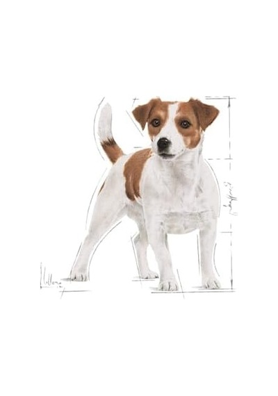 Mini Adult Köpek Yaş Mama, 85 Gr