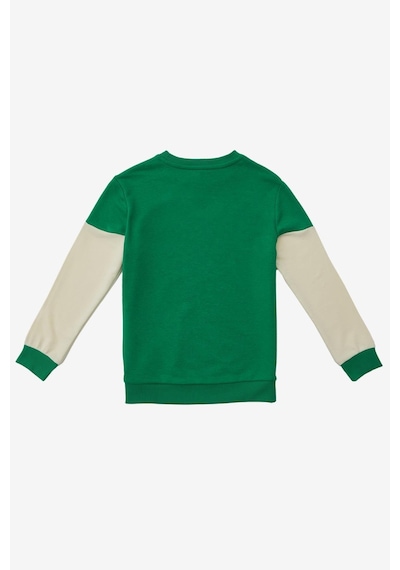 United Colors Of Benetton Erkek Çocuk Yeşil Sweatshirt