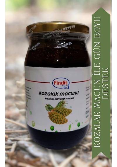 Kozalak Bitkisel Karışımlı Macun Doğal Güç Ve Direnç Desteği
