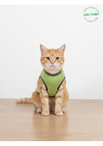 Yeşil Superstar Yazılı Kedi Ve Köpek Kıyafeti Tişörtü Elbisesi Large/l/beden 3