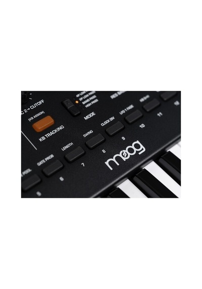 Moog Messenger Monofonik Analog Synthesizer