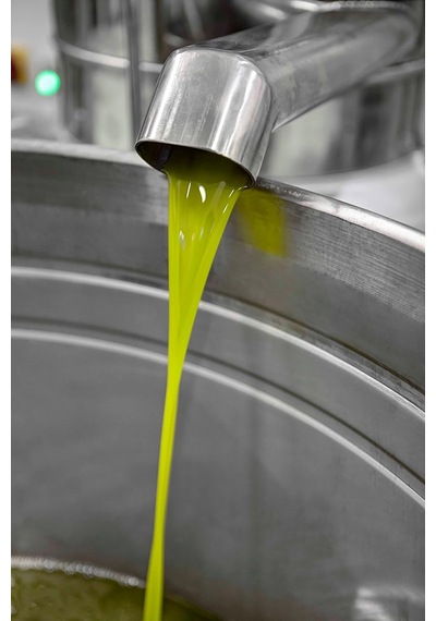 3 Lt Erken Hasat Soğuk Sıkım Özel Seri Natürel Sızma Zeytinyağı Tek Bahçe 2025/2026