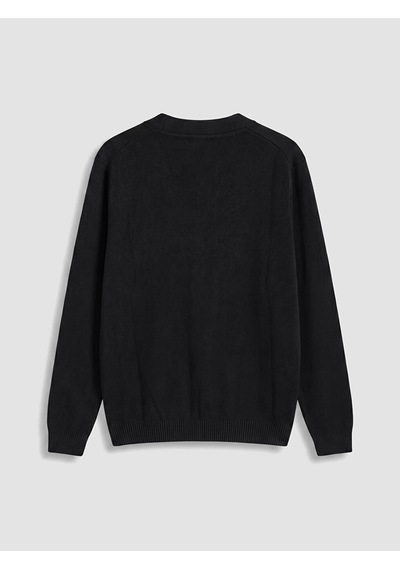 Lcwaıkıkı Classic Siyah Regular Fit V Yaka Erkek Triko Hırka