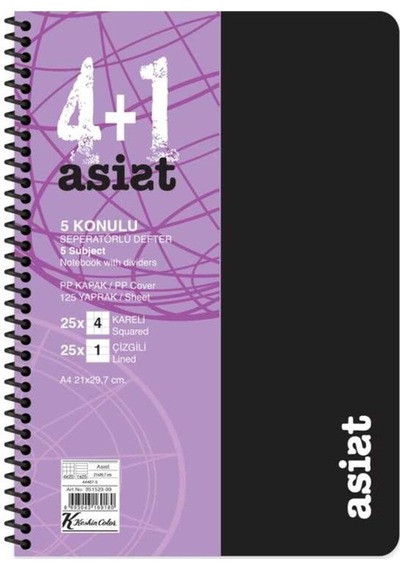Defter A4 4+1 125 Yaprak Ayraçlı Plastik Kapak Asist Çok Renkli