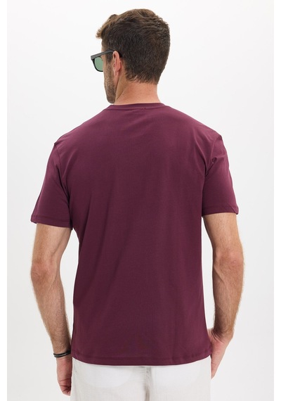 Tudors Erkek Loose Fit Rahat Kesim %100 Pamuk Yumuşak Dokulu Kısa Kollu Bordo Bisiklet Yaka Tişört-52807 Tudors Erkek Loose Fit Rahat Kesim %100 Pamuk Yumuşak Dokulu Kısa Kollu Bordo Bisiklet Yaka Tişört-52807