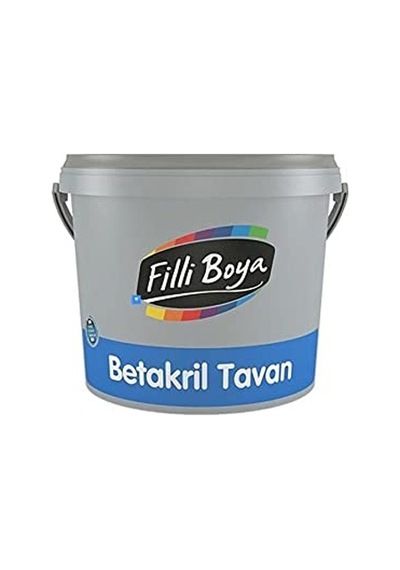 Betakril Tavan 17.5 Kg 0.250 L