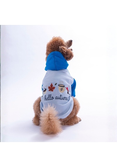 Mavi Vermont Autumn Köpek Hoodie Köpek Sweat Köpek Kıyafeti Kedi Kıyafeti