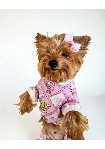 Teddy Toad Penye Köpek Tulum Pijama