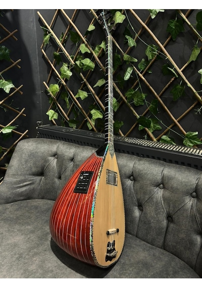 Ankara Elektro Bağlama Çift Kapak Ekolayzırlı Soft Case Dahil