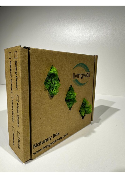 Reindermoss, Şoklanmış Norveç Yosunu, Terarium Yosunu, Grass Green Light