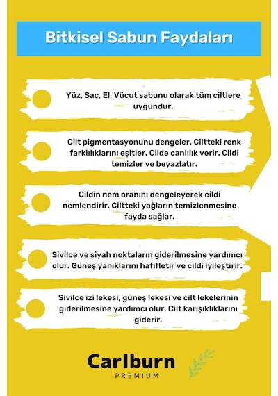 %100 Doğal Güzel Kokulu El Yüz Saç Vücut Cilt Orijinal Bitkisel Ayva Çekirdeği Sabunu 100g - 2 Adet