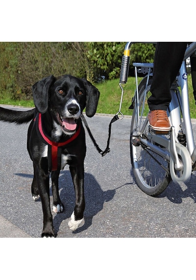 Trixie 1287 Bisiklet Için Köpek Yürütme Aparatı