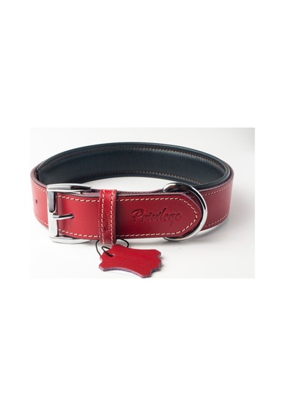 Privilege Hakiki Deri Köpek Boyun Tasması M Kırmızı 3 x 38-47 CM Kırmızı