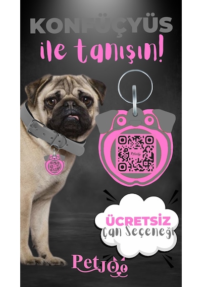 Petjoo 9.Konfüçyüs Pembe-Gri Qr'lı Köpek Künyesi