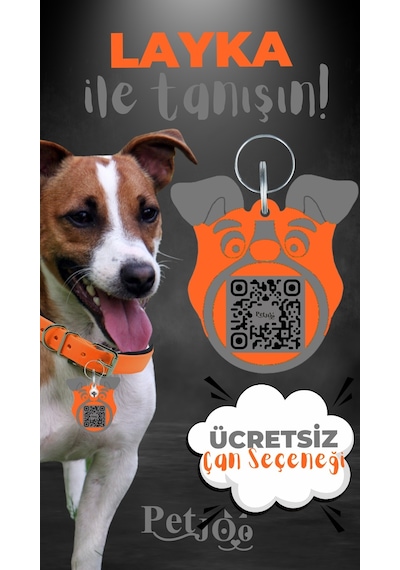 Petjoo 22.Layka Gri-Turuncu Qr'lı Köpek Künyesi