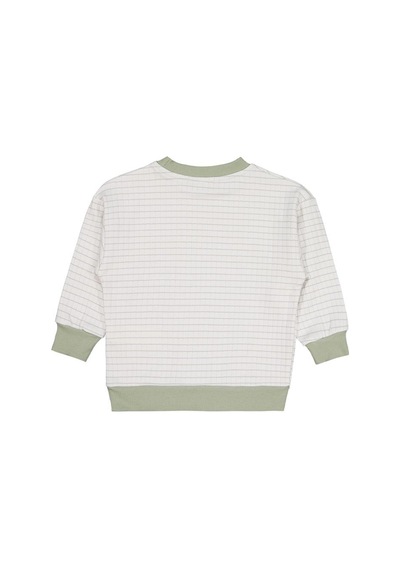 Civil Boys Aslan Nakışlı 2-5 Yaş Sweatshirt - Yeşil