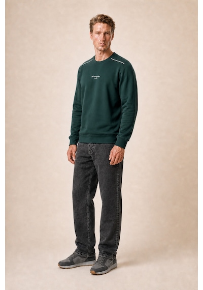 Redline Qwen Bisiklet Yaka Regular Fit Kışlık Sweatshirt Nefti