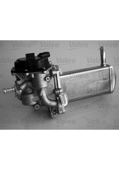 VALEO 700439 EGR Valfi A4 07-09 2.0 TDI