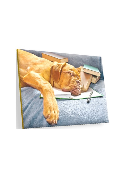 Cakasepetim Kitap Defter Kalem Ve Gözlüklü Kahverengi Buldog Ahşap Mdf Tablo