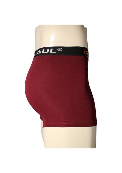Kenn Paul Erkek Bordo Modal Boxer Rahat Kumaş Premium Boxer Bordo