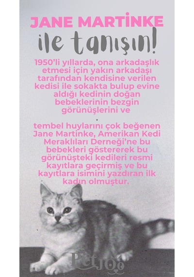 Petjoo 5.Jane Martinke Gri-Pembe Qr'lı Kedi Künyesi