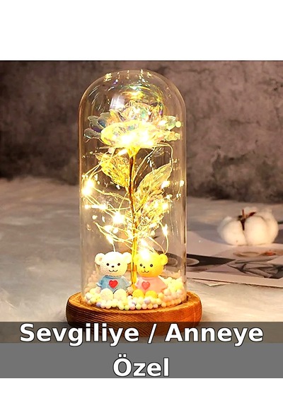 LED Işıklı Güllü Cam Fanus Ayıcıklı Gece Lambası Anneler Günü Hediyesi -