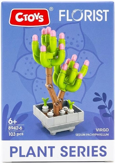Ctoys Florist Burçlar Saksılı Bitki Yapım Seti Virgo 8942 6