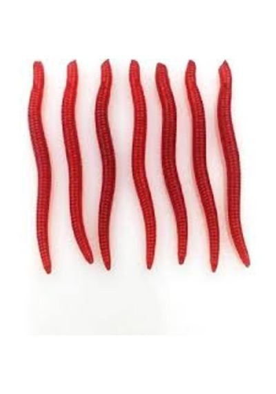 10 X 3.5 Cm Gerçek Görünümlü Kokulu Silikon Yapay Solucan Olta Balık Yemi