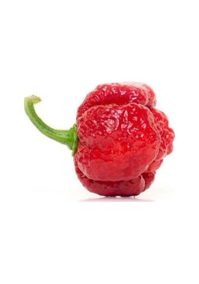 Trınıdat Moruga Scorpıon Tohumu