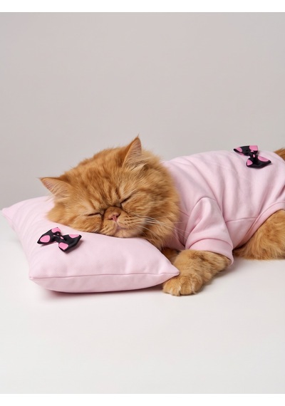 Pinkie Mouse Kedi Uyku Seti Pembe Kalın Penye Kedi Tulumu Ve Kurdele Detaylı Mini Yastık 2 Parça
