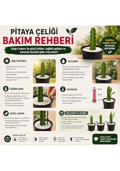 Kendi Pitayanı Yetiştir Ejder Meyvesi Başlangıç Seti 20-30 Cm Çelik + 1,6 L Saksı + Perlit
