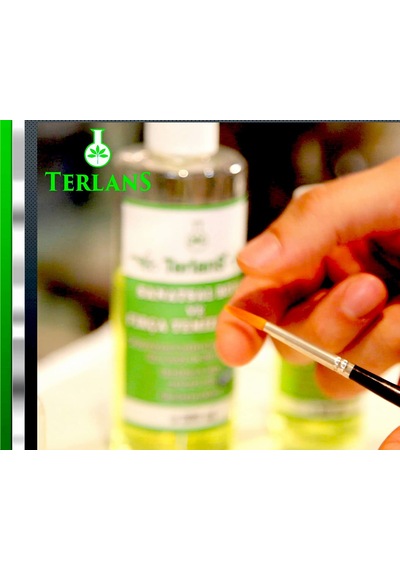 Terlans Sanatsal Boya Ve Fırça Temizleyici 1000 Ml
