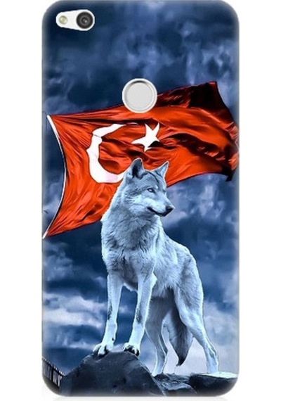 Huawei P9 Lite 2017 Uyumlu Kurt Göktürk Ve Bayrak Desenli Silikon Kılıf
